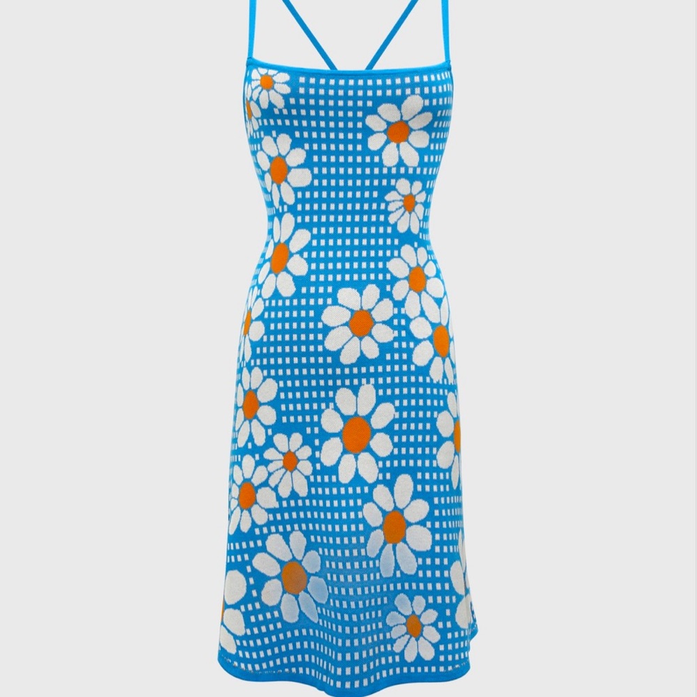 Shop cider Daisy dress